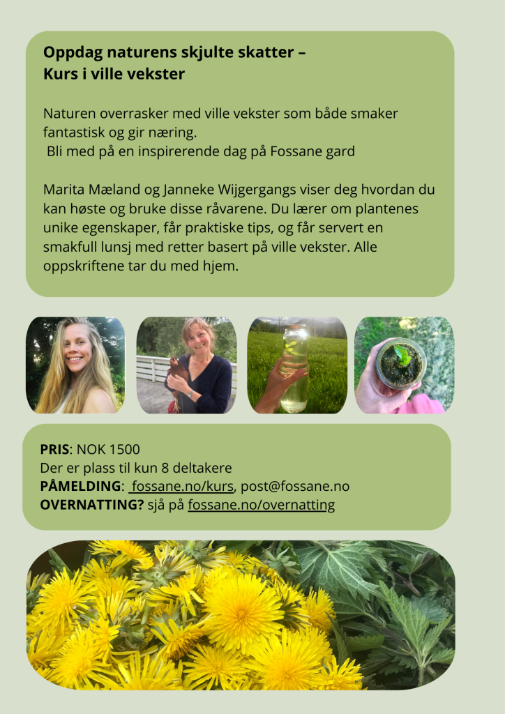 Ville vekster, kurs
