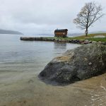 Dampsauna