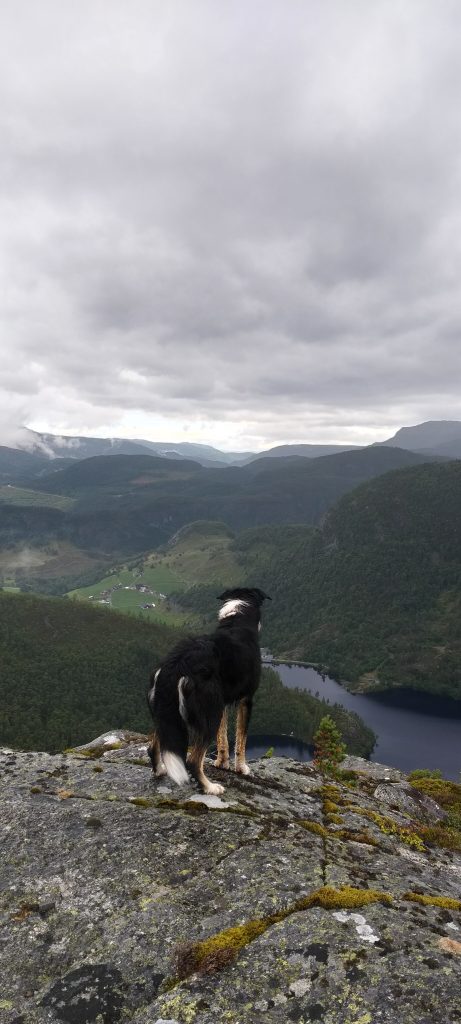 Urddalsknuten